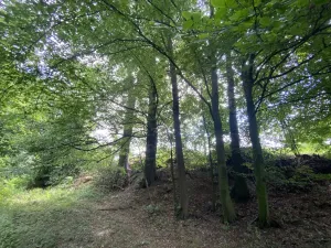 Prodej pozemku, Olbramice, 708 m2