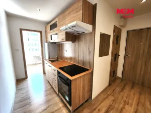 Prodej bytu 1+1, Louny, Slovenského národního povstání, 41 m2
