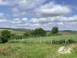 Prodej rodinného domu, Voynikovo, Bulharsko, 120 m2