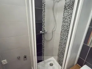 Pronájem bytu 2+1, Kladno, Zd. Petříka, 51 m2