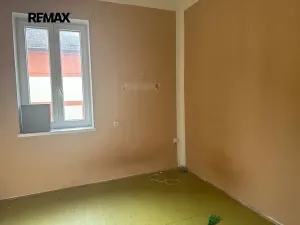 Prodej bytu 2+1, Kralovice, Dělnická, 62 m2