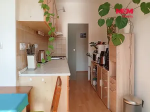 Prodej bytu 2+1, Ústí nad Labem - Severní Terasa, Jana Zajíce, 50 m2