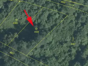 Prodej lesa, Železný Brod, 987 m2