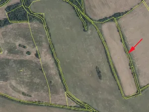 Prodej louky, Mašťov, 2645 m2