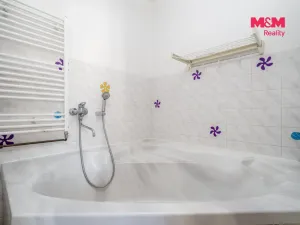 Prodej bytu 1+1, Děčín - Děčín IV-Podmokly, Příbramská, 45 m2