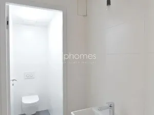 Pronájem bytu 2+kk, Praha - Smíchov, Holečkova, 94 m2