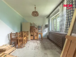 Prodej komerční nemovitosti, Plavy, 500 m2