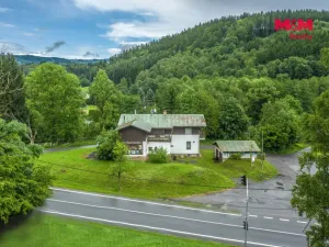Prodej komerční nemovitosti, Plavy, 500 m2
