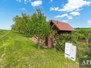 Prodej chaty, Uherský Brod, 40 m2