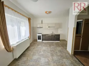 Pronájem obchodního prostoru, Plzeň, Mezi Ploty, 160 m2