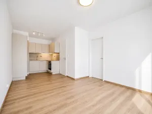Prodej bytu 2+kk, Praha - Vysočany, Pod Harfou, 42 m2