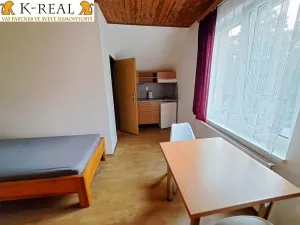 Pronájem bytu 1+kk, Velká Bíteš - Březka, 25 m2