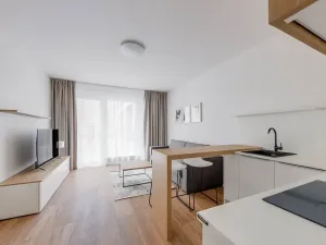 Pronájem bytu 1+kk, Praha - Karlín, Pernerova, 30 m2
