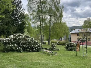 Prodej bytu 3+kk, Říčky v Orlických horách, 63 m2