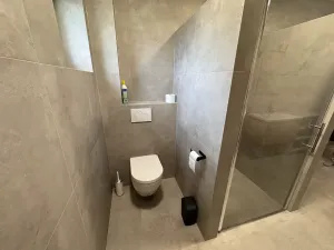 Pronájem rodinného domu, Jeseník, Javorová, 215 m2
