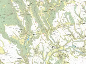 Prodej pole, Neveklovice, 11483 m2