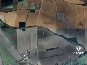 Prodej pole, Kněždub, 2748 m2