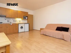 Pronájem bytu 1+kk, Praha - Libeň, Braunerova, 30 m2