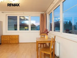 Pronájem bytu 1+kk, Praha - Libeň, Braunerova, 30 m2
