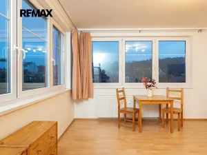 Pronájem bytu 1+kk, Praha - Libeň, Braunerova, 30 m2