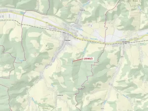 Dražba louky, Hovězí, 1344 m2