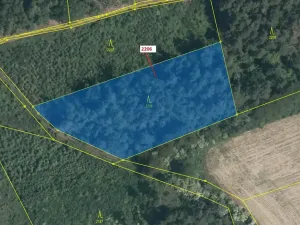 Dražba lesa, Louňovice pod Blaníkem, 4560 m2