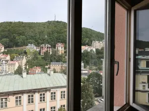 Prodej ubytování, Karlovy Vary, Zámecký vrch, 934 m2