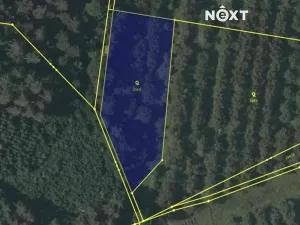 Prodej chalupy, Lhenice, Netolická, 335 m2