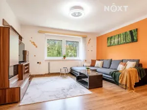 Prodej bytu 2+1, Týn nad Vltavou, Orlická, 54 m2