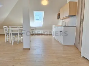 Pronájem bytu 1+kk, Olomouc, 1. máje, 40 m2