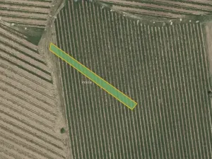 Prodej sadu/vinice, Vracov, 912 m2