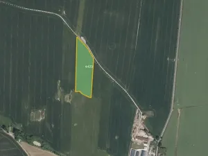 Prodej pole, Křenovice, 22338 m2
