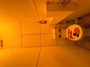 Pronájem bytu 2+1, Most, Zdeňka Fibicha, 54 m2