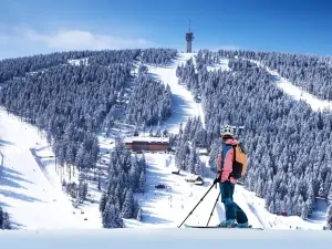 Prodej bytu 3+kk, Loučná pod Klínovcem, 73 m2