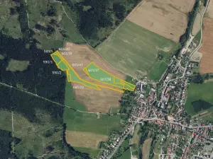 Prodej pole, Žďárná, 29881 m2