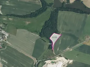 Prodej pole, Bor, 14739 m2