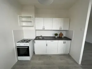 Pronájem bytu 1+1, Litvínov, Bezručova, 42 m2
