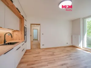 Prodej bytu 3+kk, Plzeň - Lobzy, Partyzánská, 60 m2