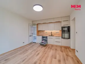 Prodej bytu 3+kk, Plzeň - Lobzy, Partyzánská, 60 m2