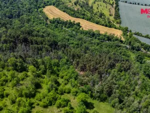 Prodej lesa, Libochovice - Poplze, 49399 m2