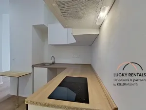 Pronájem bytu 1+1, Praha - Podolí, U Kublova, 41 m2