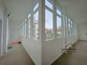 Pronájem bytu 1+1, Praha - Podolí, U Kublova, 41 m2
