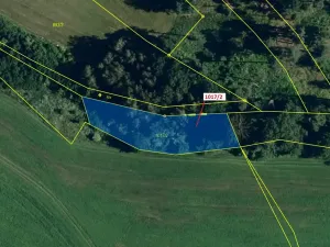 Dražba pozemku, Březí nad Oslavou, 1043 m2