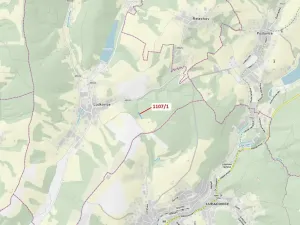 Dražba lesa, Ludkovice, 2302 m2