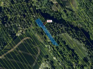 Dražba lesa, Jalubí, 659 m2