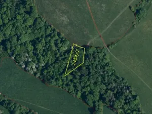 Dražba louky, Mírová pod Kozákovem, 1000 m2