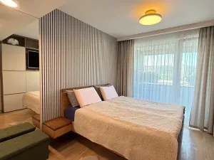 Prodej bytu 2+kk, Praha - Holešovice, U Pergamenky, 56 m2