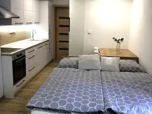 Pronájem bytu 1+kk, Zlín, Zadní luhy, 36 m2
