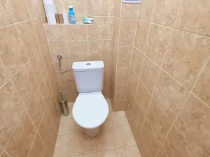 Pronájem bytu 1+1, Praha - Vršovice, Moskevská, 46 m2