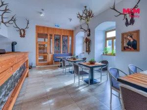 Prodej historického objektu, Manětín - Rabštejn nad Střelou, 1250 m2